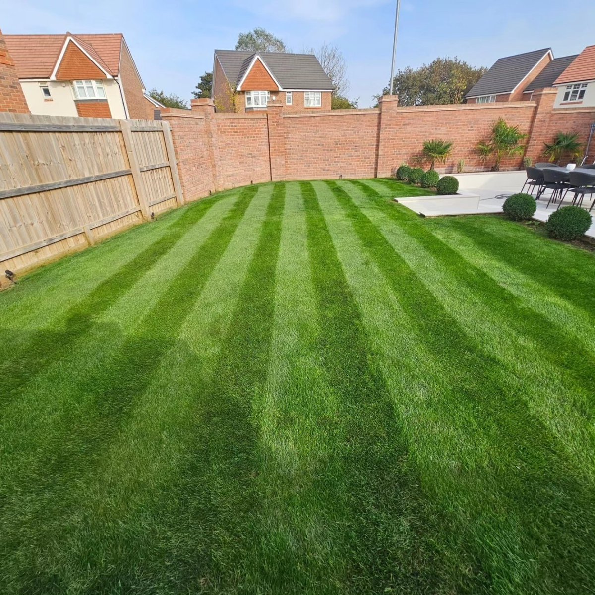 SdTurf's tweet photo. Our mowing and bespoke treatment package program is looking on point for these beauties 😎🌱🌞

#LawnsOfLincolnshire https://t.co/ptNo13jyFu