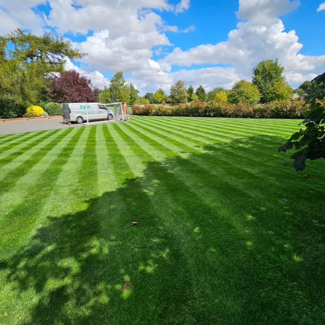 SdTurf's tweet photo. Our mowing and bespoke treatment package program is looking on point for these beauties 😎🌱🌞

#LawnsOfLincolnshire https://t.co/ptNo13jyFu