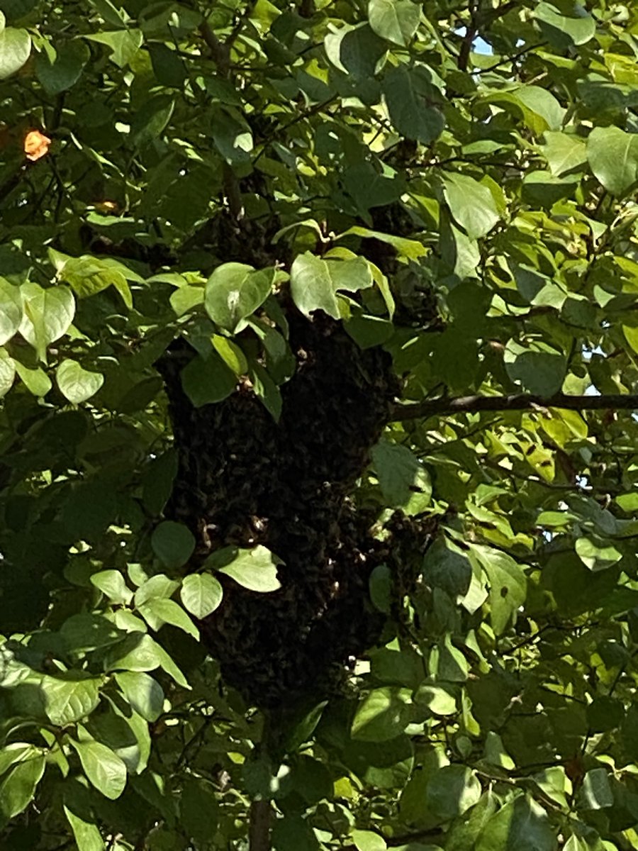 Jeffrey Olsavicky tweet media