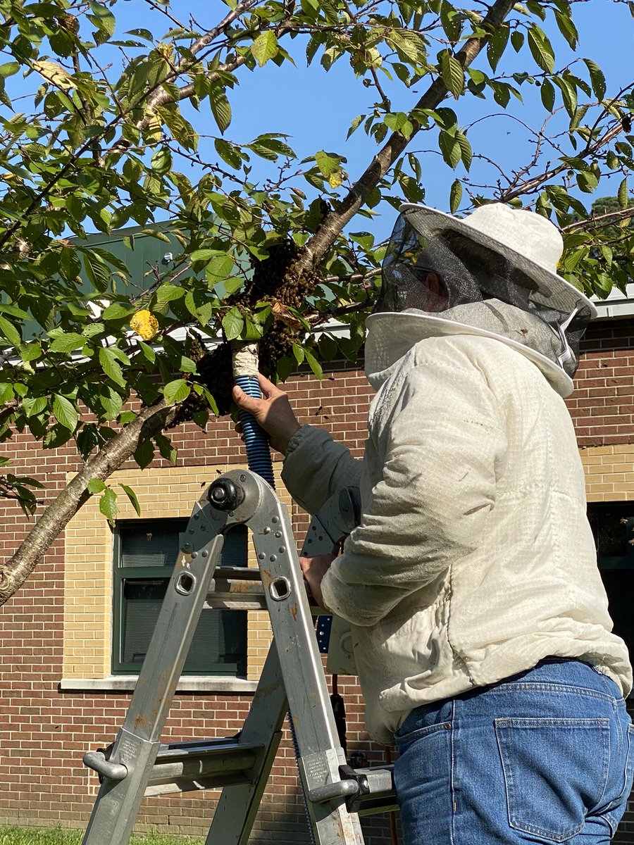 Jeffrey Olsavicky tweet media