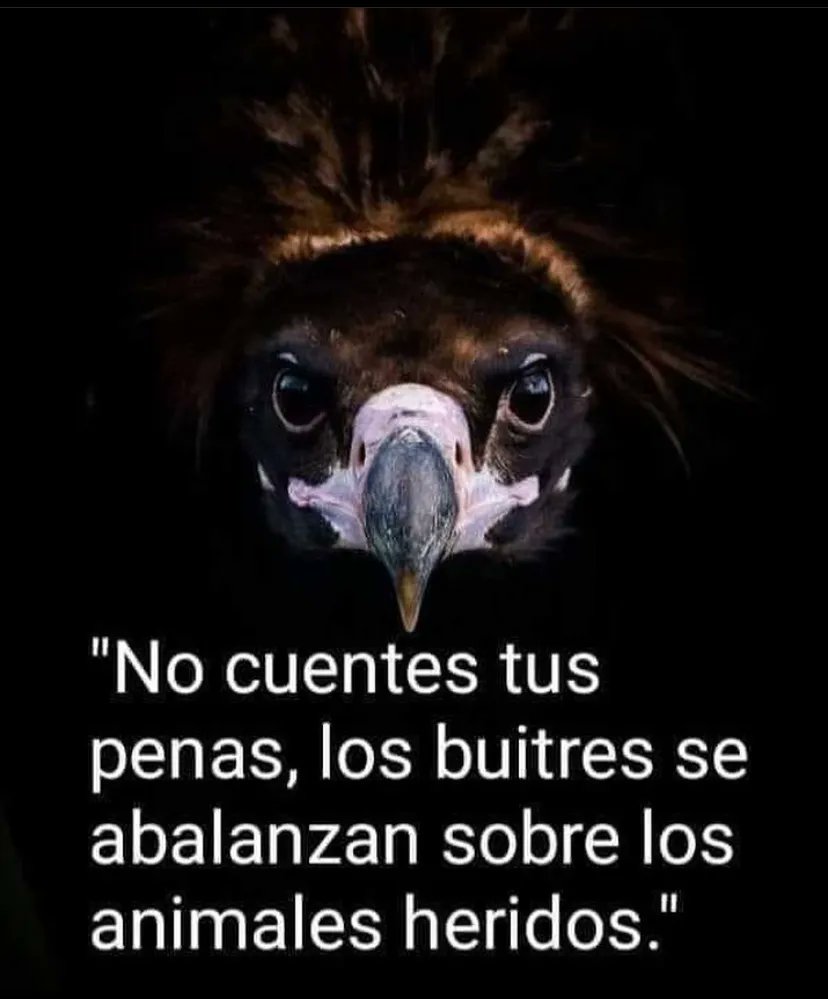 Déjanos un Comentario para saber que nos lees.