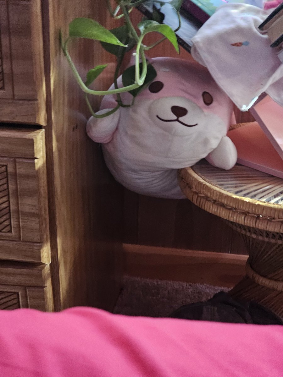 ✨🌒❤️‍🔥LadyLuna❤️‍🔥🌘✨ tweet media