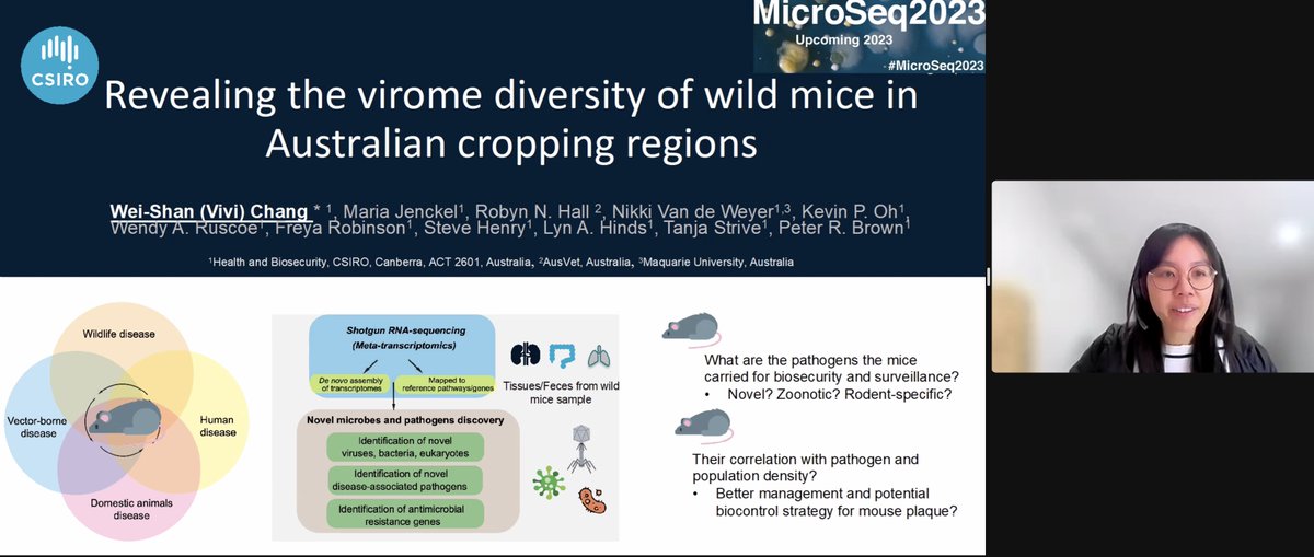 Wild mice have profound impacts on Australia (think mouse plague!). <a href="/ChangvvVivi/">Wei-Shan (Vivi) Chang</a> shares with us all the newly described viruses in Australian wild mice, including orbiviruses, laying the groundwork to reveal novel pathogens. #MicroSeq2023