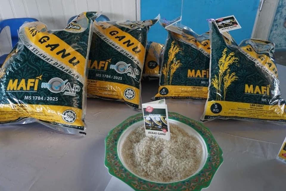 X_XMulia's tweet photo. Bagaimana Terengganu bekerja memecahkan monopoli kartel beras.

1. Sawah padi di Terengganu 100% milik Melayu Islam. Dari 12 ribu ha keluasan, 500 ha adalah sawah padi yang mempunyai Sijil Amalan Pertanian Baik Malaysia, MyGAP.

2. Padi MyGAP yang dituai diproses di Kilang Padi Konsortium LPP Baruh Masin Jabi, juga milik Melayu Islam.

3. Beras MyGAP dengan jenama BERAS GANU dibungkus oleh TADC sebuah anak syarikat Kerajaan Negeri Terengganu di Kilang Pembungkusan Beras TADC Kg Telaga Papan Setiu. 

4. BERAS GANU diedarkan oleh Ameen Hallmart Kg Losong Kuala Terengganu, sebuah pasaraya milik Melayu Islam.

5. Dah jadi BERAS GANU, silakan siapa-siapa pun nak beli. Ini satu-satunya jenama beras 100% tempatan dalam negara yang mempunyai persijilan MyGAP yang telah diuji selamat dari segi kualiti dan biosekuriti.

Cc: Dr Azman Ibrahim

Terbaik, kalau korang follow fb Dr Azman ni, korg akan tahu mcm mana dia berkerja.
