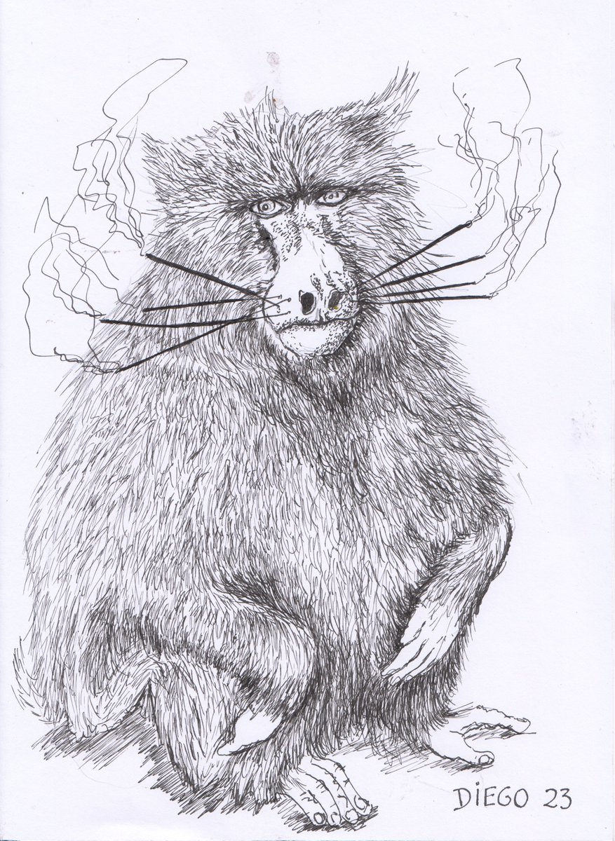 Arrietailustra's tweet image. #simio