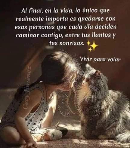 Neyda21708001's tweet image. Buenas Noches ❤️

#TodoElPoderParaElPueblo
@NicolasMaduro @Mippcivzla @VTVcanal8 @PartidoPSUV @f_ney @Neyda21708001 @neydaf1 @1412Yolis @9804209ruben @adolfog20201863 @ags_creador_054 @AiskelMonsalve @alanyscc1 @albertan93 @albertcont70366 @Alberto04498240 @albuun9039835