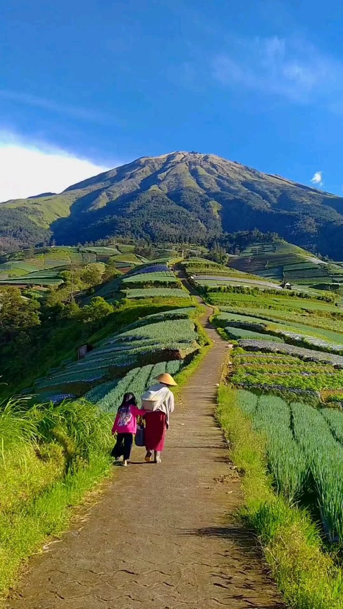 TAK PERLU KHAWATIR !
INILAH 8 JENIS REZEKI YANG ALLAH JAMIN DALAM AL-QUR'AN