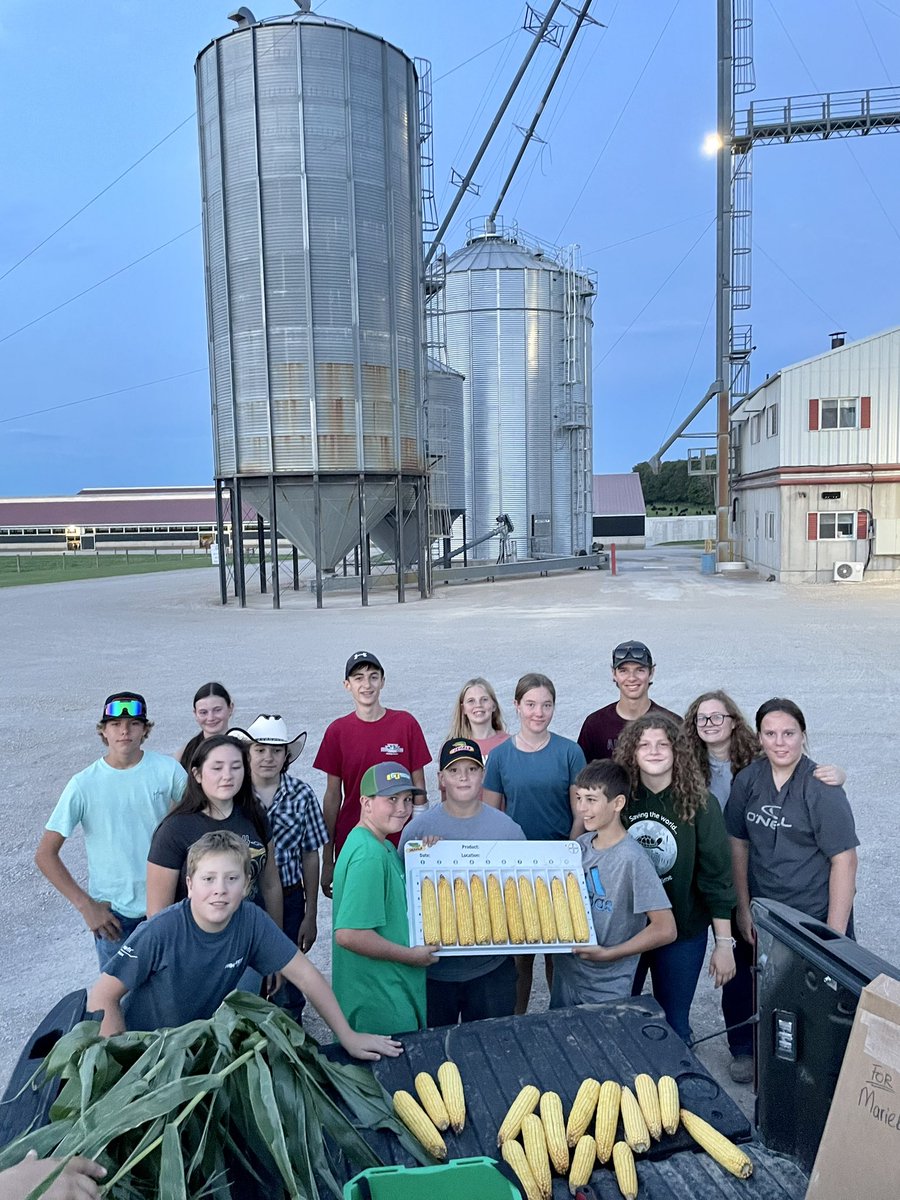 South Simcoe 4H Crops Club learning how to pick the perfect corn for the fair entries! Uniformity is key!
Next we participated in the #GLGTour2023 thanks <a href="/AlyssaFarrelly/">Alyssa Farrelly</a> for the worksheet! These perfectly picked ears gave us a impressive yield estimate! 🌽 📈  #LearnToDoByDoing