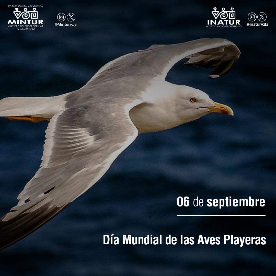 inatur_anz's tweet image. Efemérides 📜
@NicolasMaduro @delcyrodriguezv @AliErnesto32 @Mippcivzla 
#TodoElPoderParaElPueblo #Venezuela