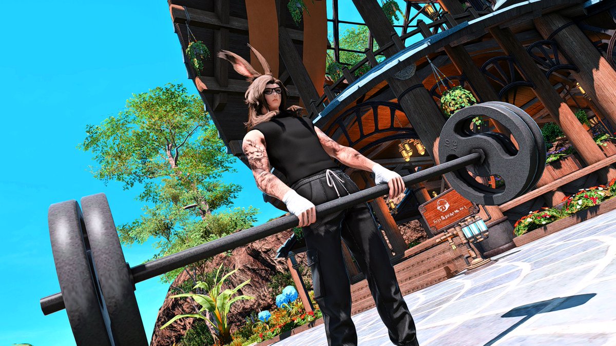 ToraViess's tweet photo. Workout Wednesday, Gain responsibly. 
#FFXIVScreenshots , #ffxivgpose , #Viera https://t.co/Taoih4fe8v