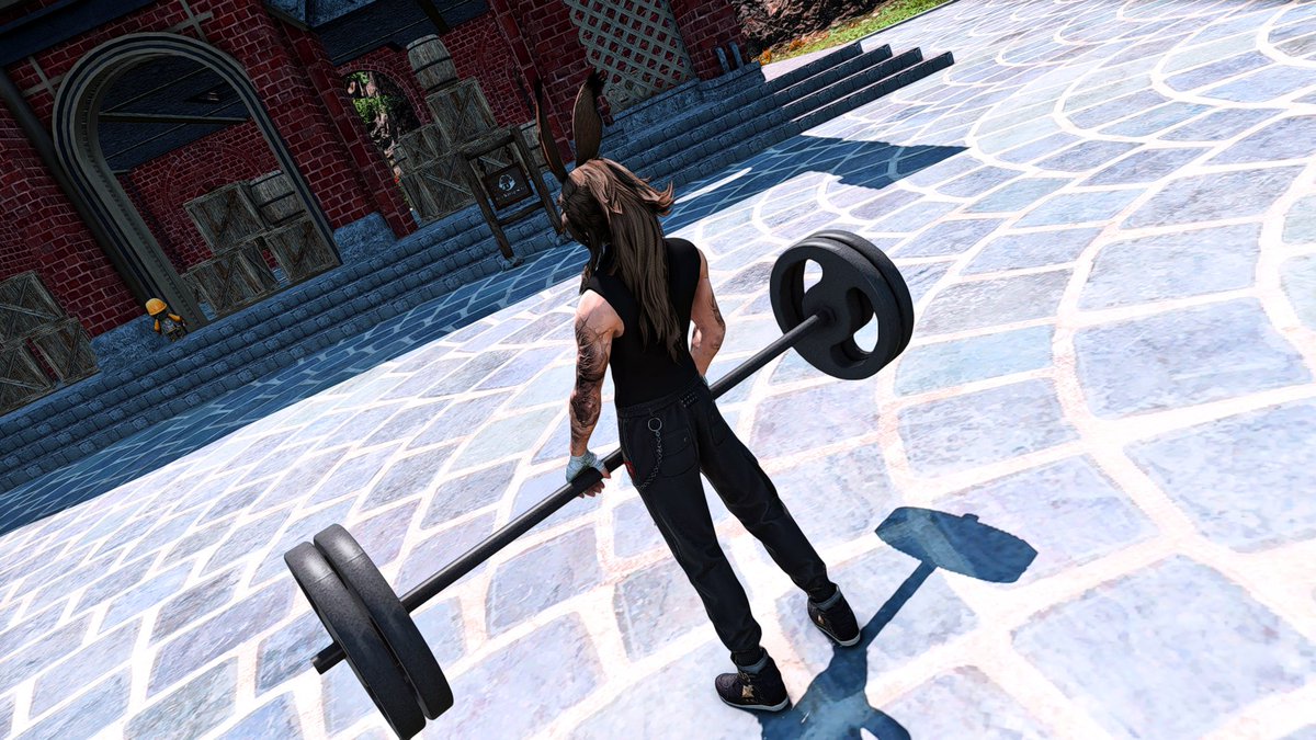 ToraViess's tweet photo. Workout Wednesday, Gain responsibly. 
#FFXIVScreenshots , #ffxivgpose , #Viera https://t.co/Taoih4fe8v