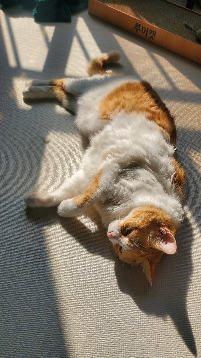 today_hellcat's tweet photo. https://t.co/E1fkjENqwz