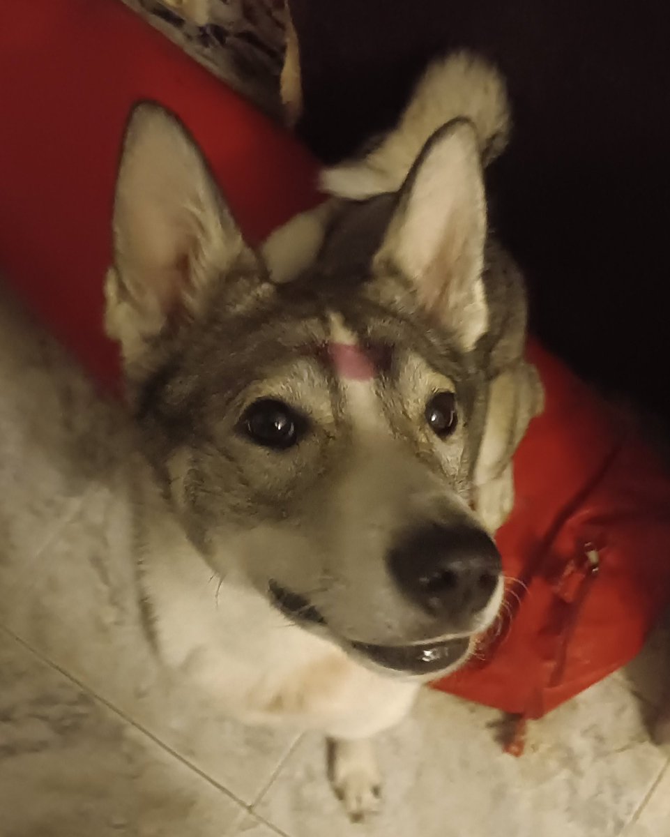 Забула, що на мені була помада і цьомнула дитину 😭😭😭😭