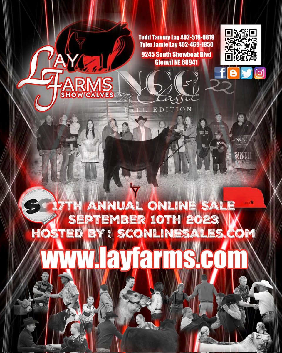 Lay_Farms_Inc's tweet photo. Lay Farms 17th Annual sale 
Sept 10th 2023
Sale link 
https://t.co/fal759nyna https://t.co/LgHOzK2WXq