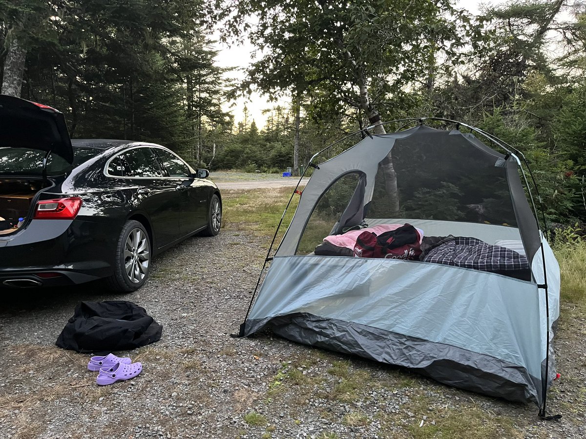 dawn_kimmy_nl's tweet photo. Getting all set up for the night! Is a warm one tonight! β€οΈπποΈ
#NLcamping https://t.co/J0fCCpmBGX
