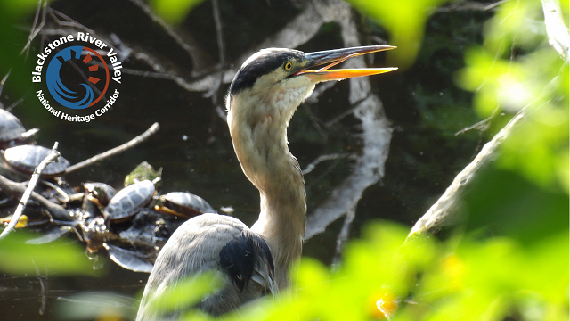 Blackstone Heritage Corridor tweet media
