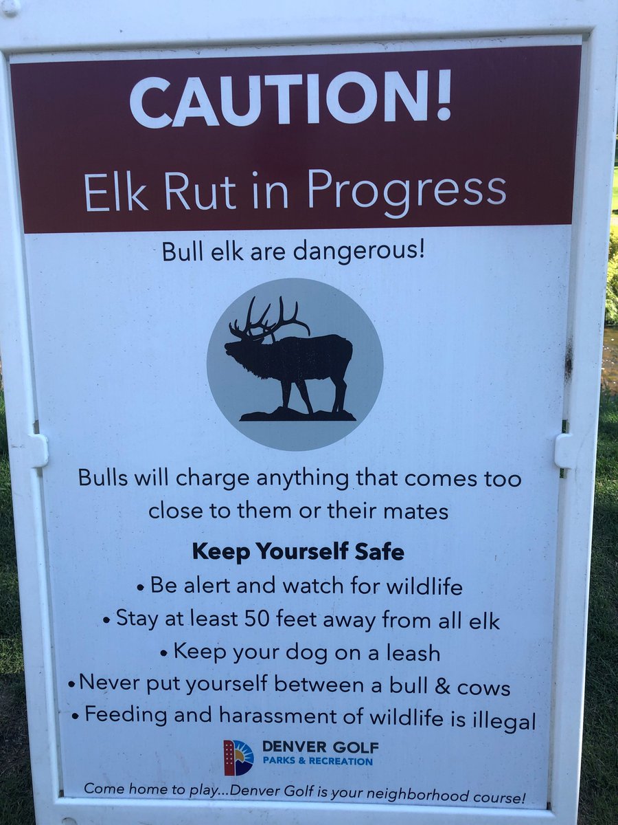 DenverGolf5280's tweet image. EVERGREEN: They’re Back! 
#EvergreenGC #DenverGolfUpdates