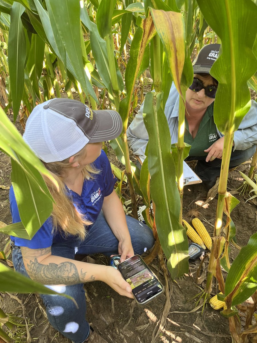 Nick Williamson tweet media