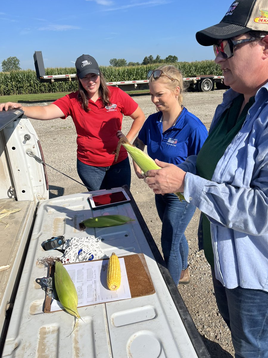 Nick Williamson tweet media