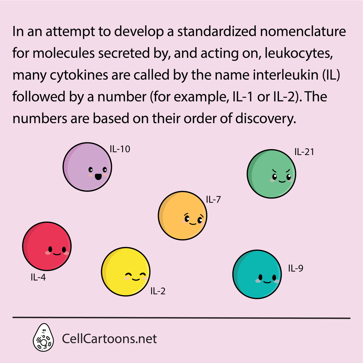 aniux_yvr's tweet photo. The next one in this ABCs of Immunology: I is for interleukins.
Do you have a favorite #interleukin?
#CellCartoons #SciArt #ScienceArt #MedicalArt #sciencecommunication #sciencecomics #ABCs #iloveimmunology
#immunology https://t.co/IqPuXenTRM