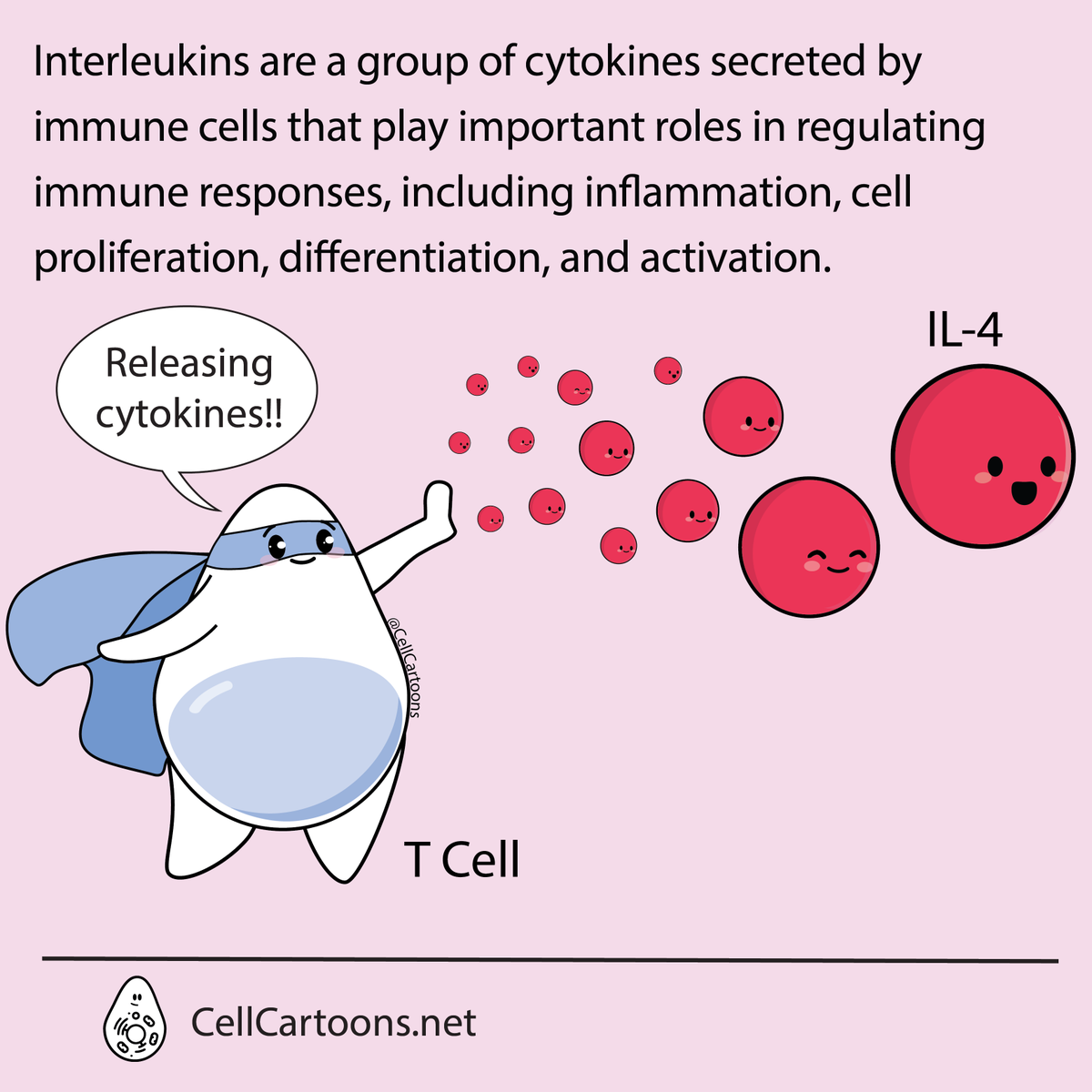 aniux_yvr's tweet photo. The next one in this ABCs of Immunology: I is for interleukins.
Do you have a favorite #interleukin?
#CellCartoons #SciArt #ScienceArt #MedicalArt #sciencecommunication #sciencecomics #ABCs #iloveimmunology
#immunology https://t.co/IqPuXenTRM