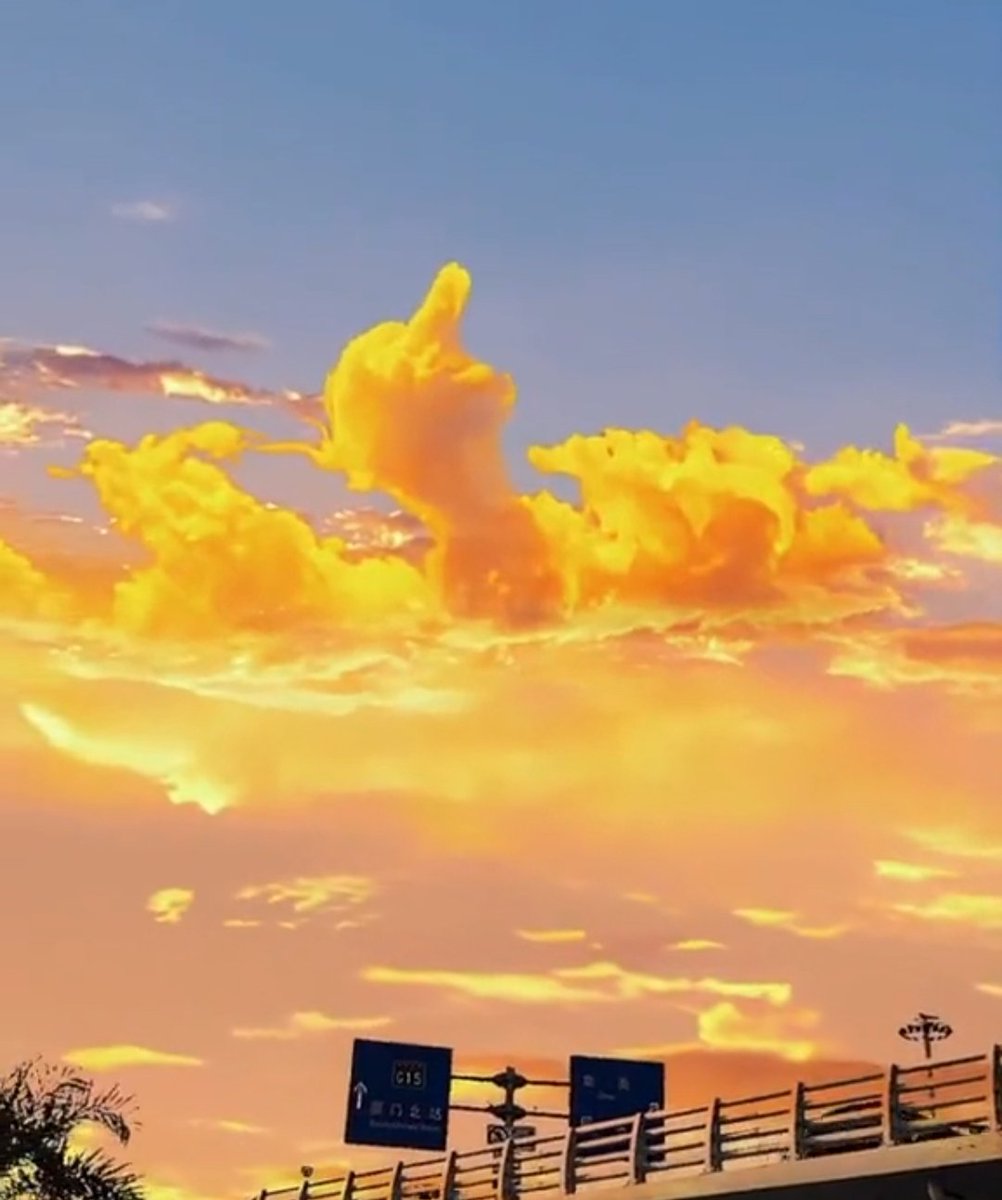 POV : me when I see someone yawning several times with the miner emote