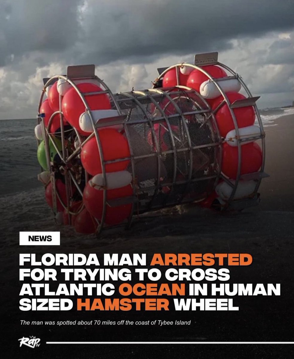 The Florida Man strikes back