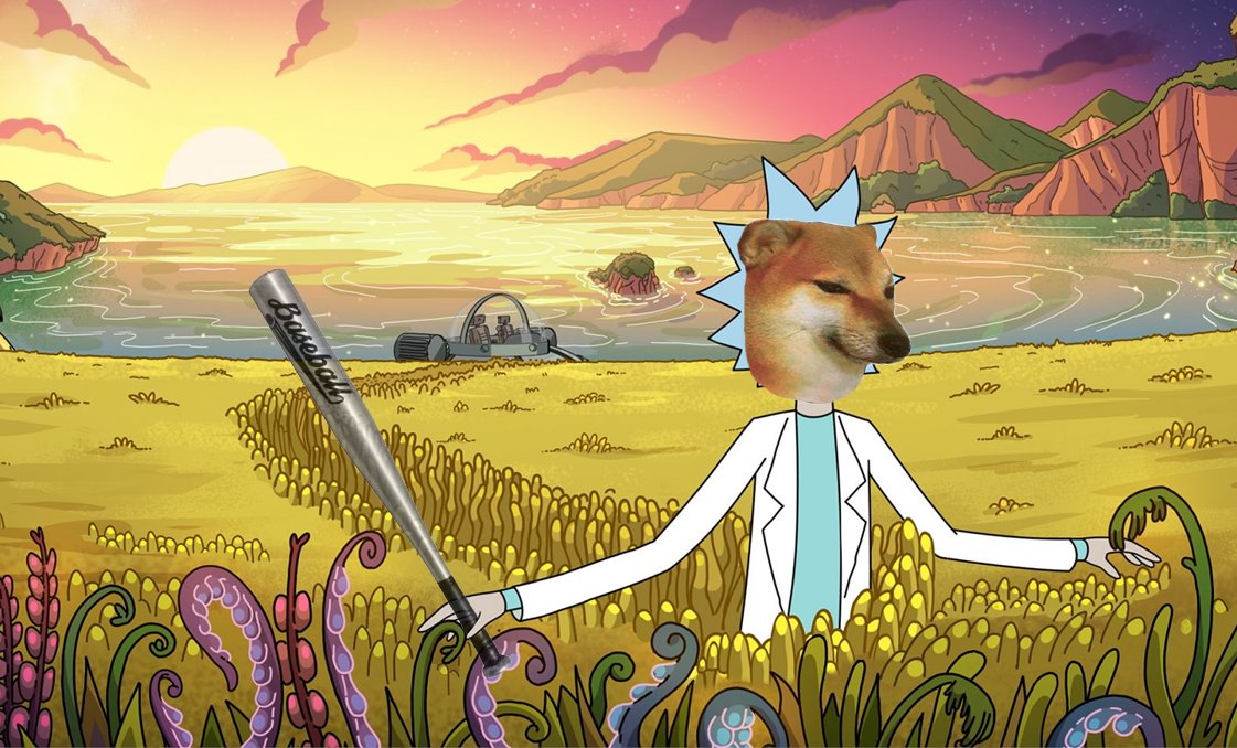 Midwits, STAY OUT or you will be BONKED