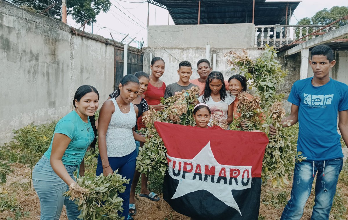 AebMrt's tweet photo. Con mucha alegría Nuestra juventud Rebelde continua construyendo Patria y aportando en la Producción Popular.🌱🌱🌱🌱🌱🌱🌱

En el Mpio. @AebMrt en el año de la #ComunaYProducción seguimos trabajando por nuestro pueblo; Producir es Vencer #LaEraRebelde https://t.co/mQvmNEYxpc