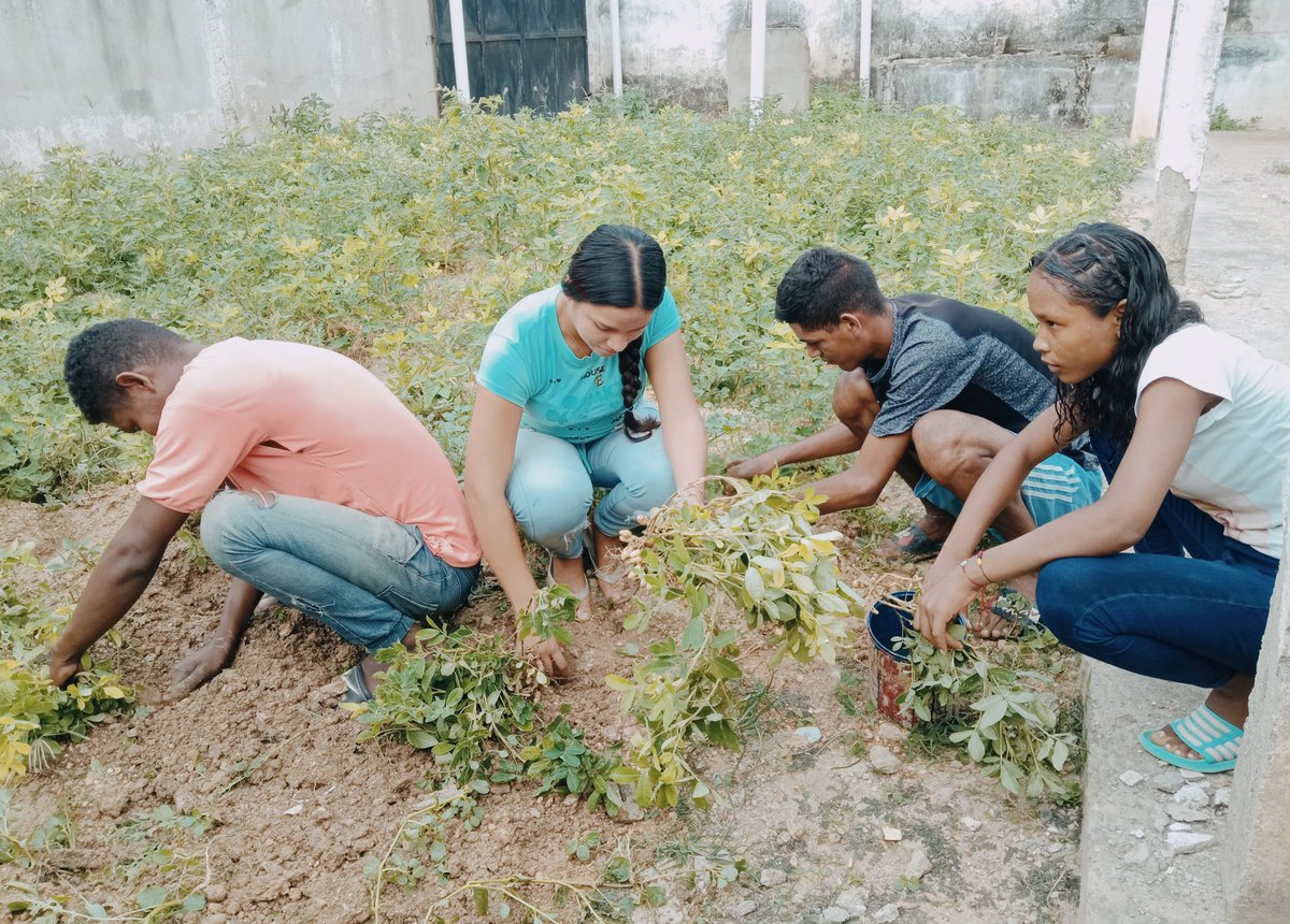 AebMrt's tweet photo. Con mucha alegría Nuestra juventud Rebelde continua construyendo Patria y aportando en la Producción Popular.🌱🌱🌱🌱🌱🌱🌱

En el Mpio. @AebMrt en el año de la #ComunaYProducción seguimos trabajando por nuestro pueblo; Producir es Vencer #LaEraRebelde https://t.co/mQvmNEYxpc