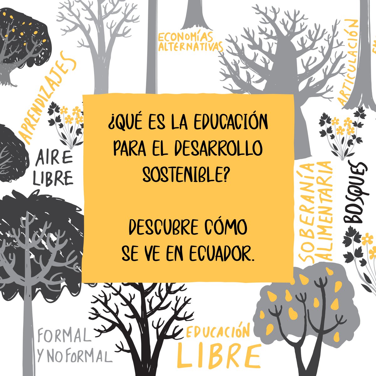 WWF Ecuador tweet media
