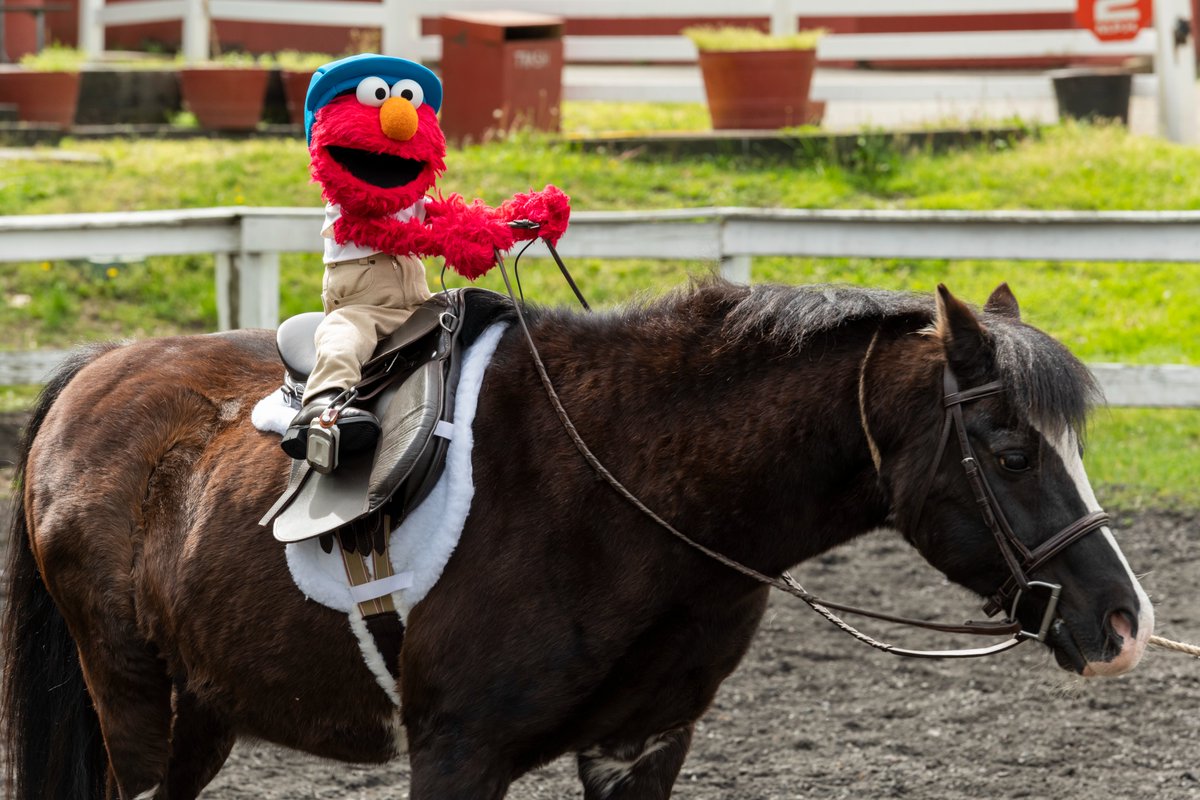 elmo's tweet photo. Elmo is riding into the weekend like. . . 😂 #FridayFeeling https://t.co/oPXAviqrZT