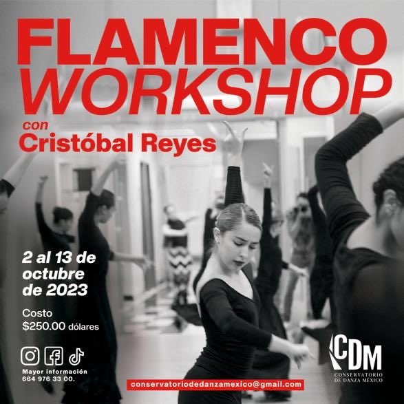 CRISTOBALREYESF's tweet photo. https://t.co/vMXhQO7arW