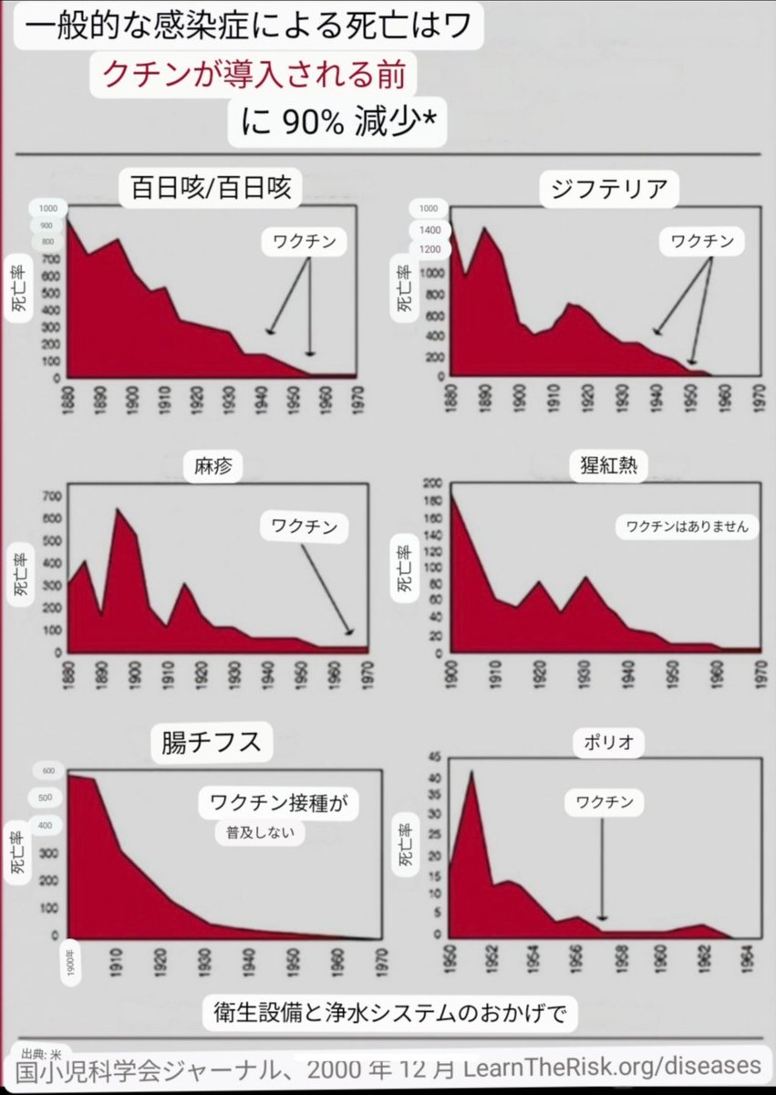 真 tweet media