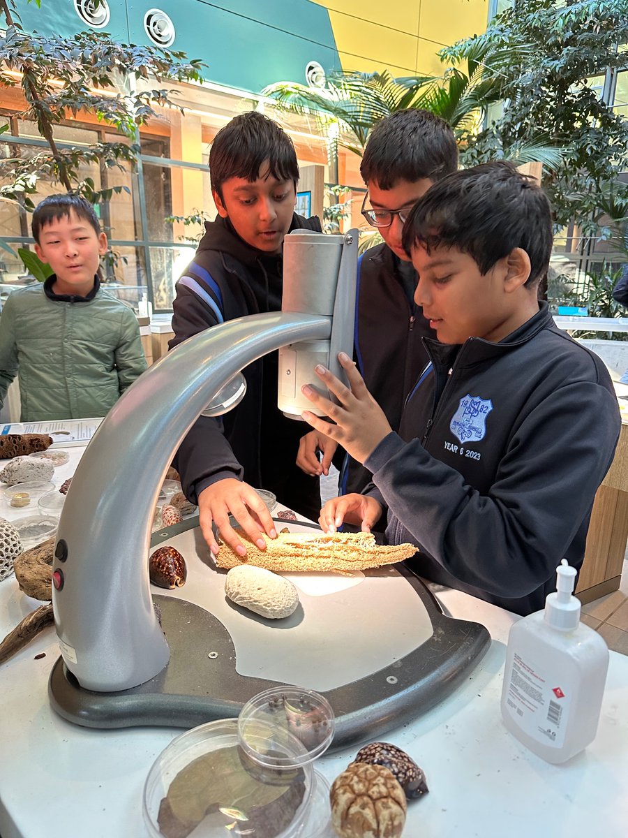 Matthew Pearce PS tweet media