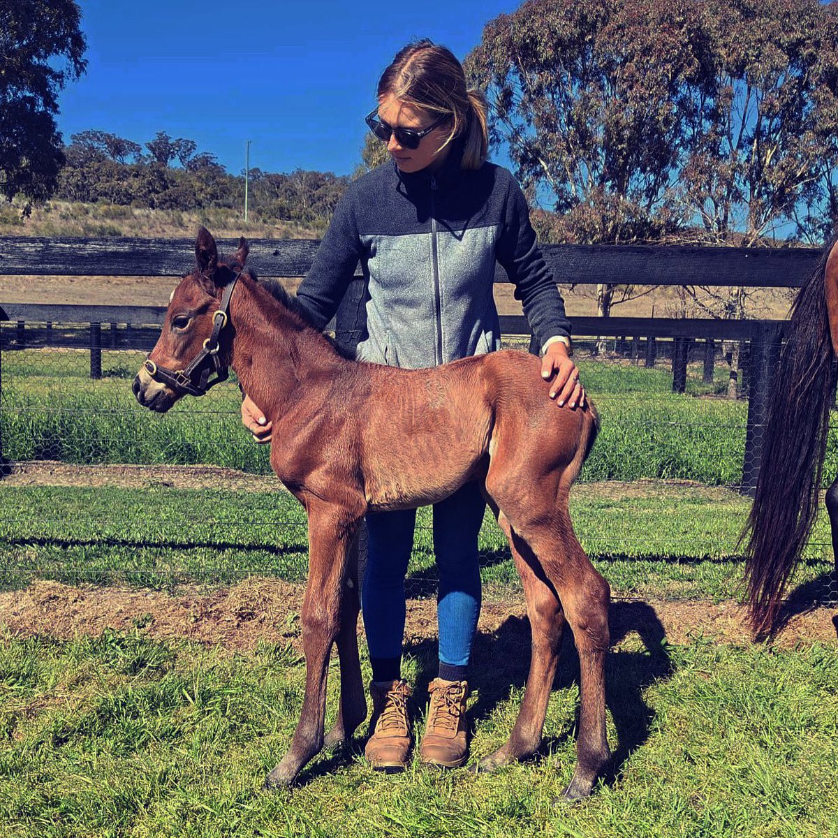 Racing.com tweet media