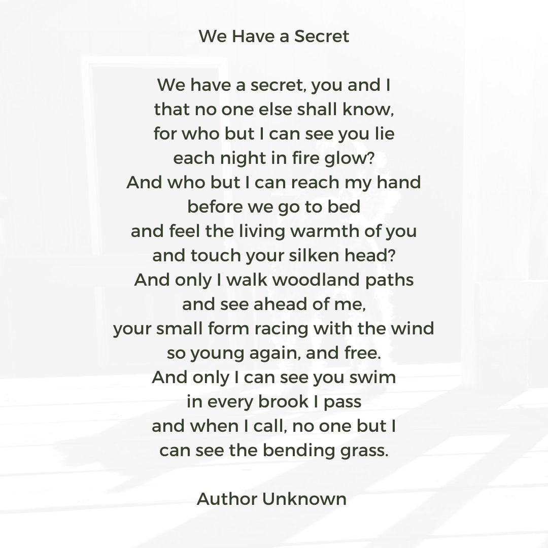 We have a secret....💔

#pawprintsonmyheart #rainbowbridge #poetry #poem 
#love
