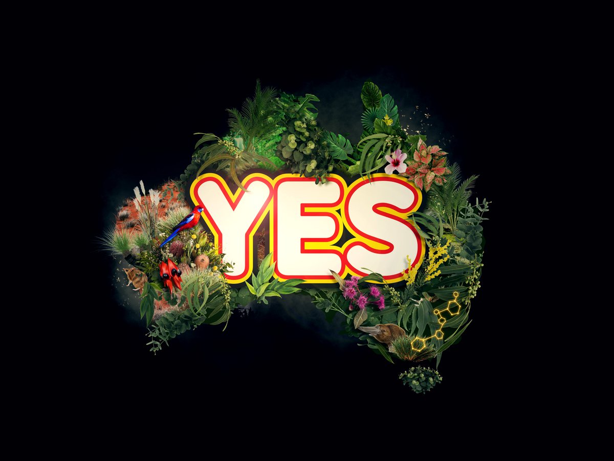 At Regen Studios, we say Yes to listening to and learning from First Nations communities, improving lives and creating better outcomes for all. To caring for Country and each other. Voice. Treaty. Truth. bit.ly/LearnMore_Voic… 
#createyes #historyiscalling