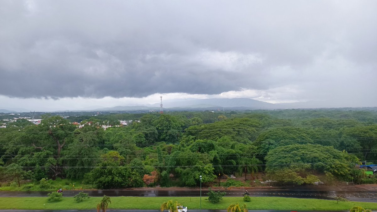 Lo bueno de las lluvias, es que la ciudad se pone verde