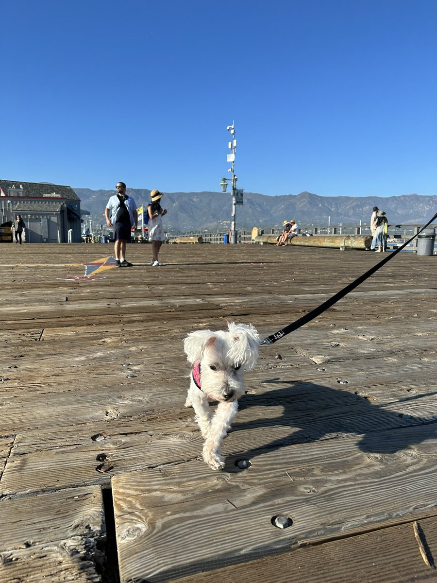 I must say, Stearns Wharf in Santa Barbara is gorgeous! 😍 I a bit hard of hearing but the ocean waves were so relaxing 😎 🌊