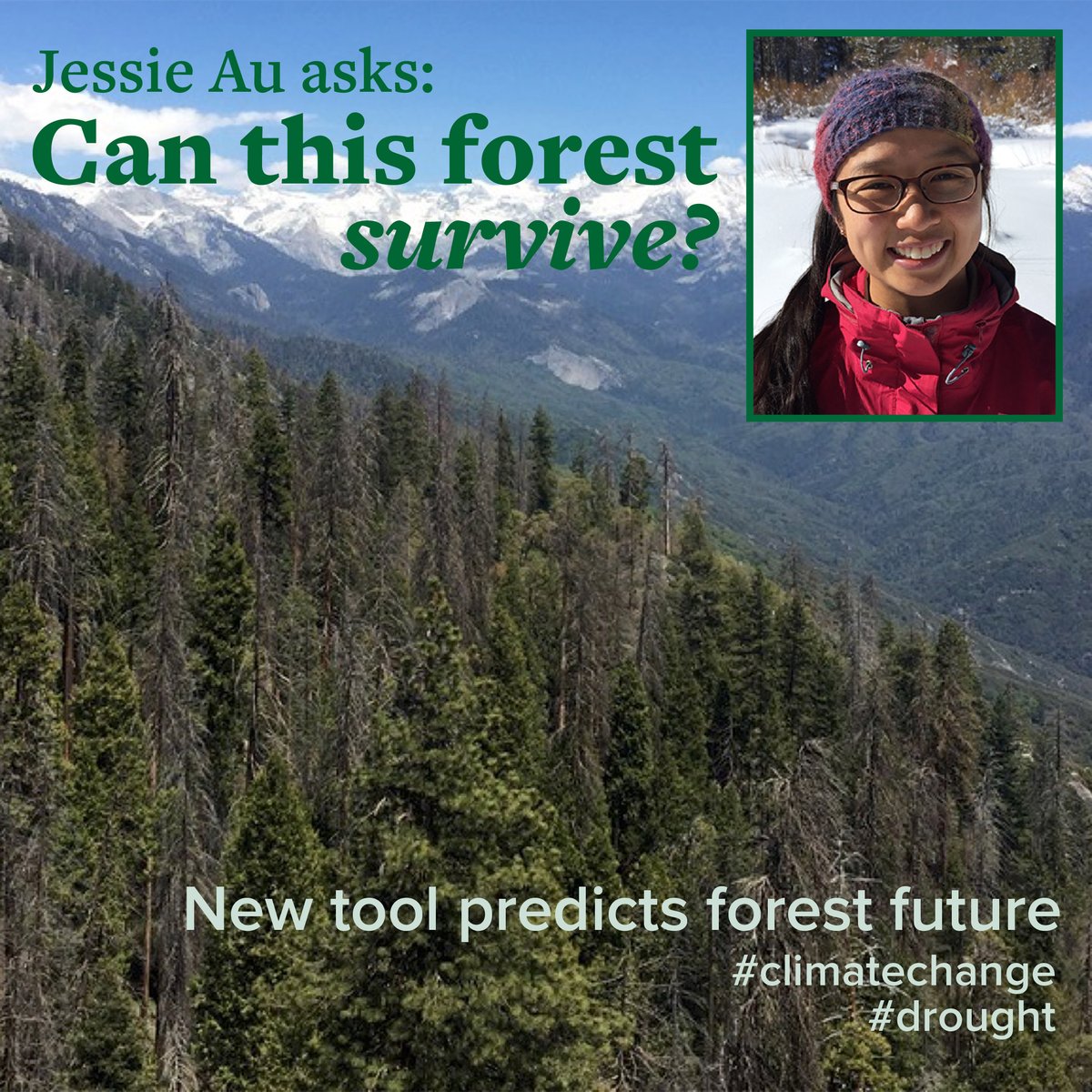 UCDavisPlants (@ucdavisplants) on Twitter photo Jessie Au & team <a href="/troymagney/">Troy Magney</a> use a new tool, CARDAMOM, to link precip w/temp & soil moisture to predict whether trees are likely to survive drought. bit.ly/484fx9e
#1intheWorldPlantSciences #PlantsforthePlanet
#forestmanagement #drought #climatechange <a href="/ChrisYSWong/">Chris Wong</a> Jessie Au & team <a href="/troymagney/">Troy Magney</a> use a new tool, CARDAMOM, to link precip w/temp & soil moisture to predict whether trees are likely to survive drought. bit.ly/484fx9e
#1intheWorldPlantSciences #PlantsforthePlanet
#forestmanagement #drought #climatechange <a href="/ChrisYSWong/">Chris Wong</a>
