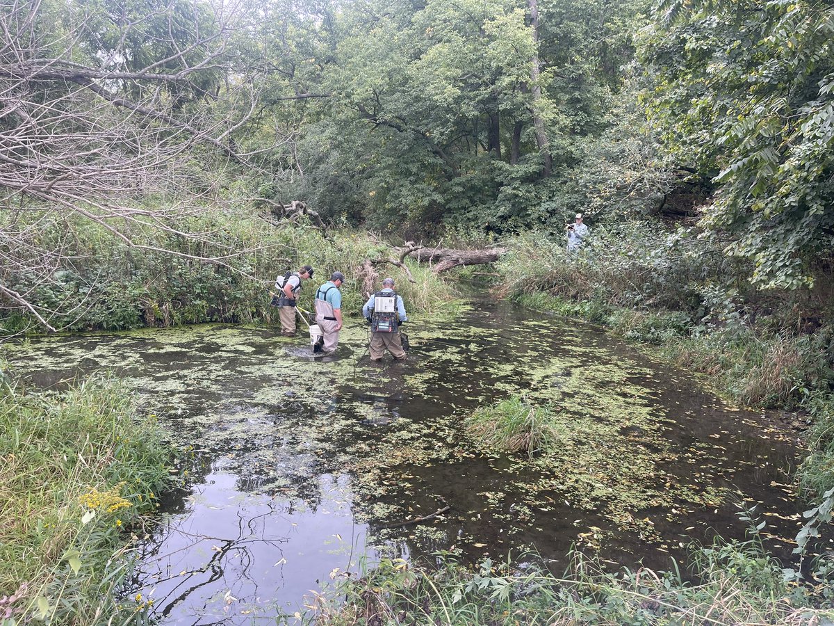 Loran Steinlage tweet media