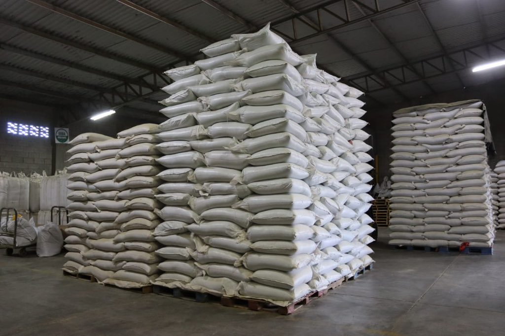 Laura Suazo tweet media