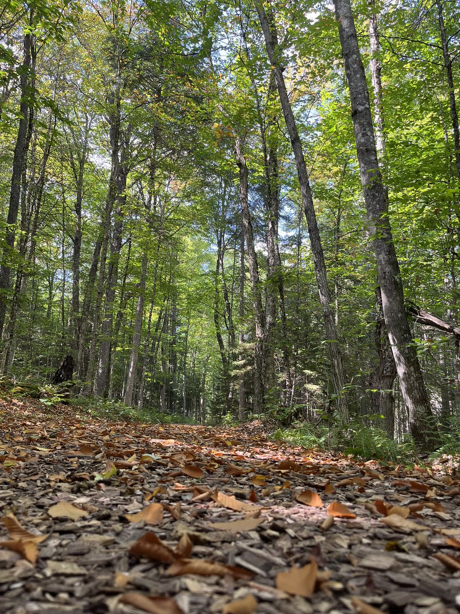 Spent part of the day at my favorite place <a href="/pscvic/">PSC VIC</a>