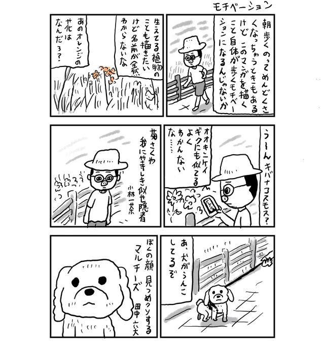 歩いて健康になり、漫画も描け、花の名前もわかり、俳句も知ることができる。 