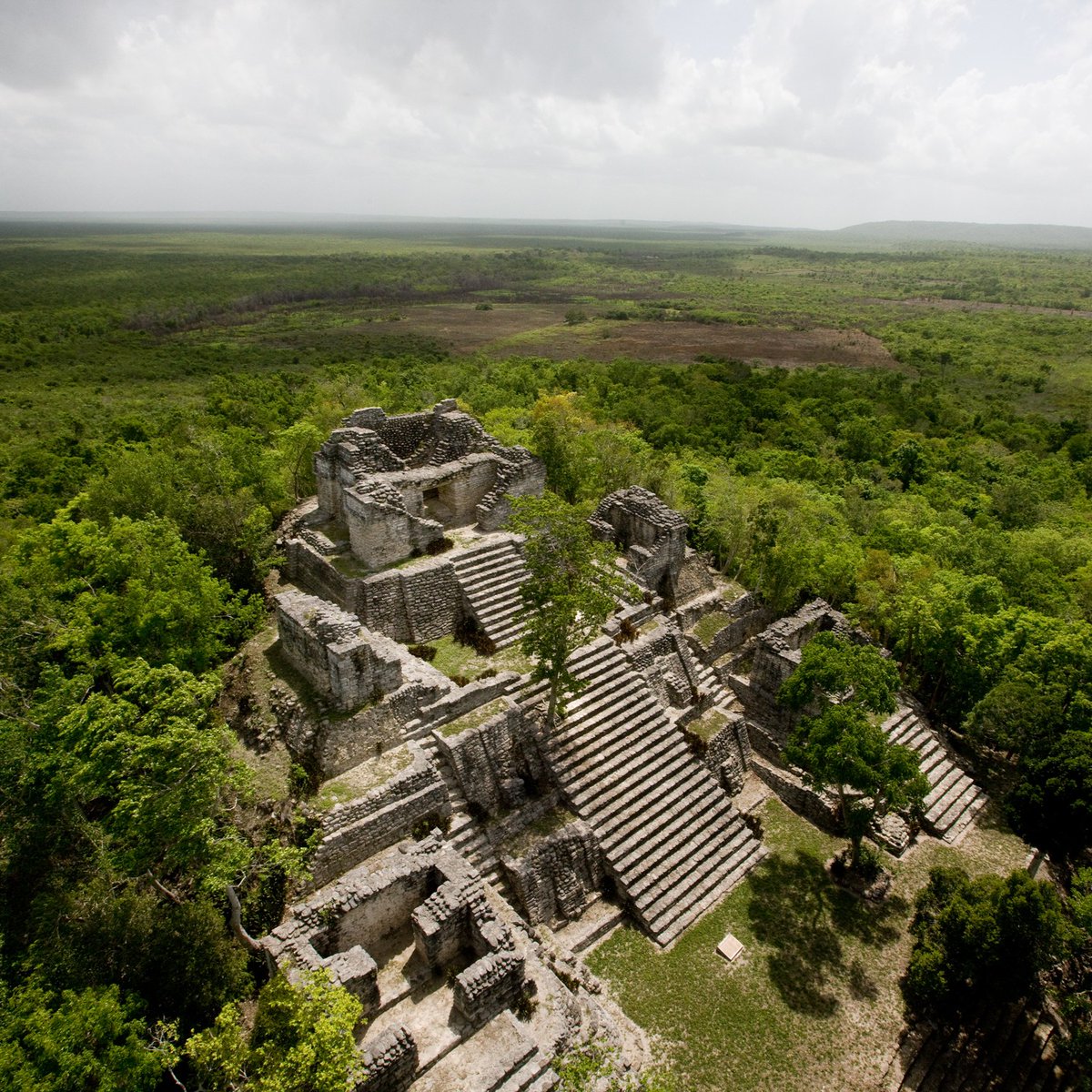 visitchetumal's tweet photo. ¡Viaja en el tiempo! La riqueza natural e histórica de #Chetumal te conducirá a impresionantes #SitiosArqueológicos. 

Conócelos 👇
🚘31 min #Chetumal  ↔️ #Oxtankah
🚘1 hor #Chetumal ↔️ #Dzibanché, #Kohunlich y #Kinichná 

#GrandCostaMaya #QuintanaRoo #Cultura #CaribeMexicano https://t.co/K7XoV26mGX