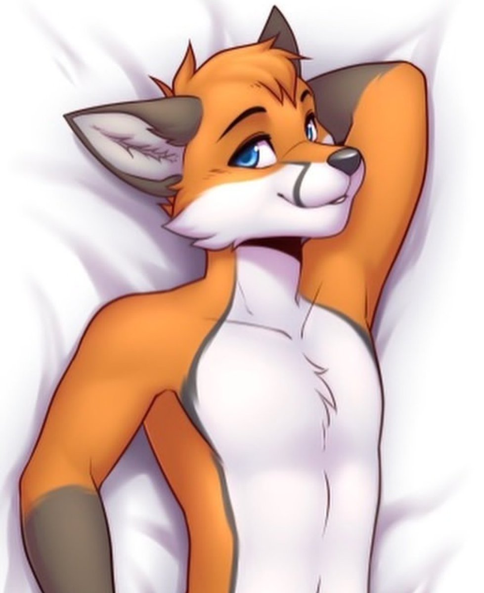emifox0's tweet photo. JAJAJAJAJA que falsos estos de Twitter, me bloquean provisionalmente mi cuenta por mi foto de perfil sólo por tener un zorro de espalda, cuando lit todo mi demás contenido es el verdadero porn🦊.
En fin, nueva foto de perfil:

#fox #furry #lol https://t.co/CmHguu7oBp
