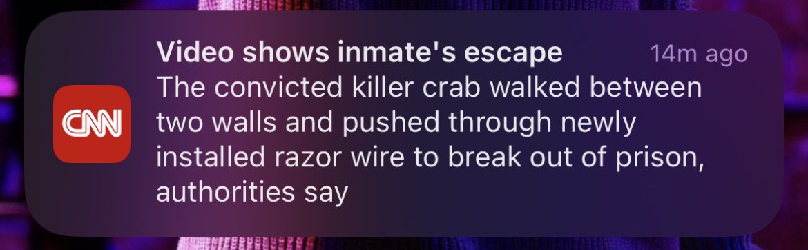 SuperJulia's tweet image. hyphens matter