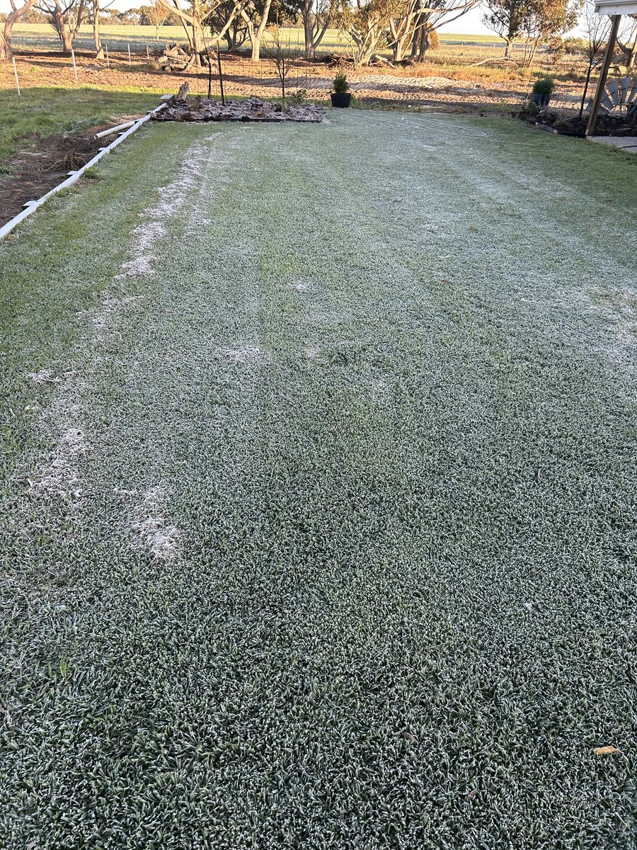 Anyone else get a visit from the frost fairies last night 😕