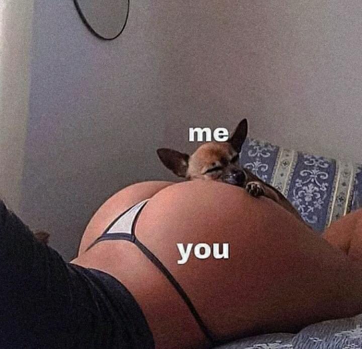 Blest ♰ Boys (@blestboys) on Twitter photo 